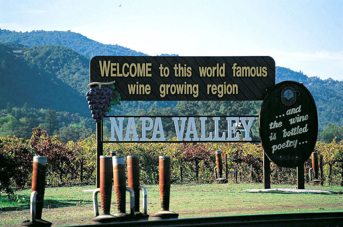 Napa Valley. California. USA