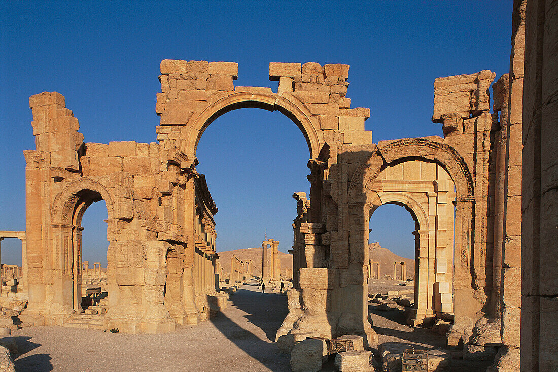 Ruins of the old Greco-roman city of Palmira. Syria