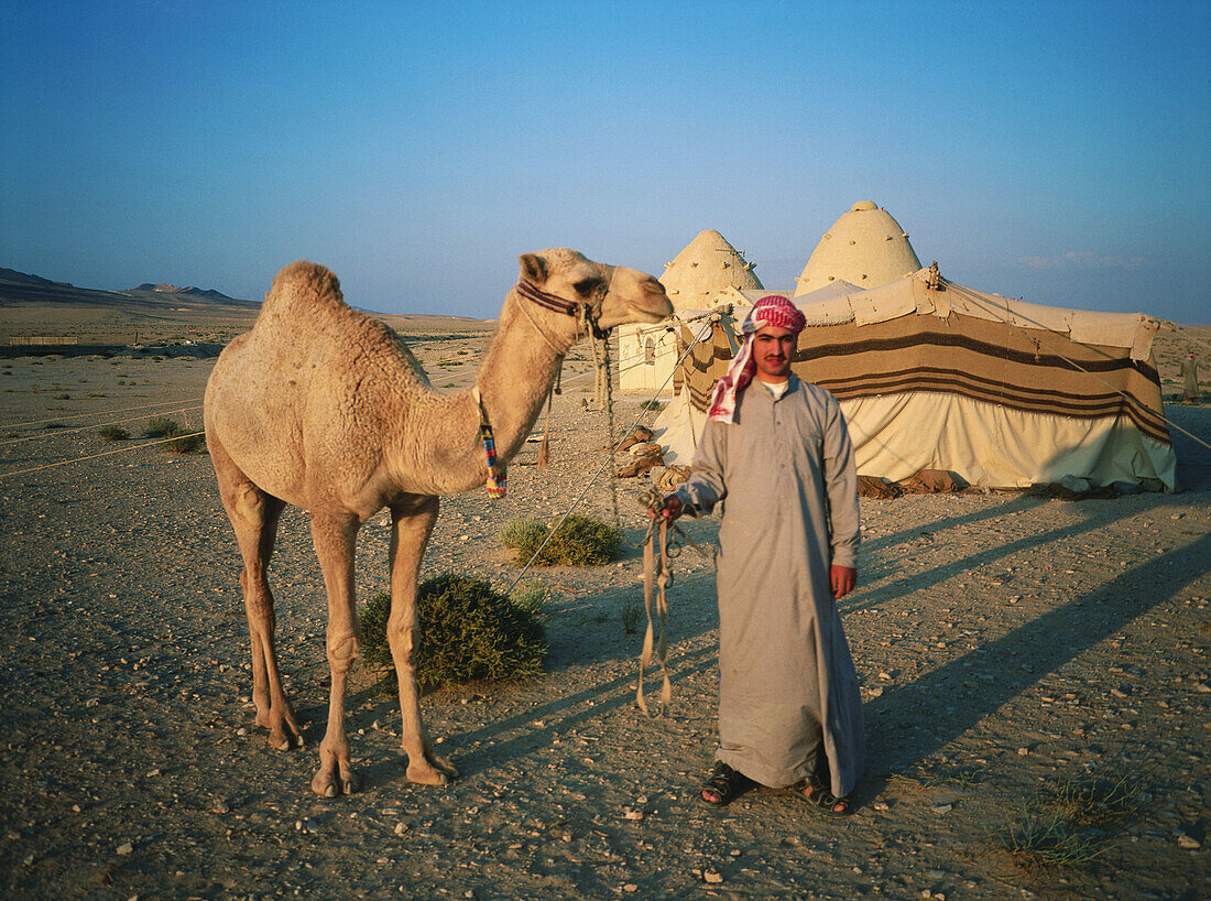 Young Beduin and camel. Palmyra desert. Syria