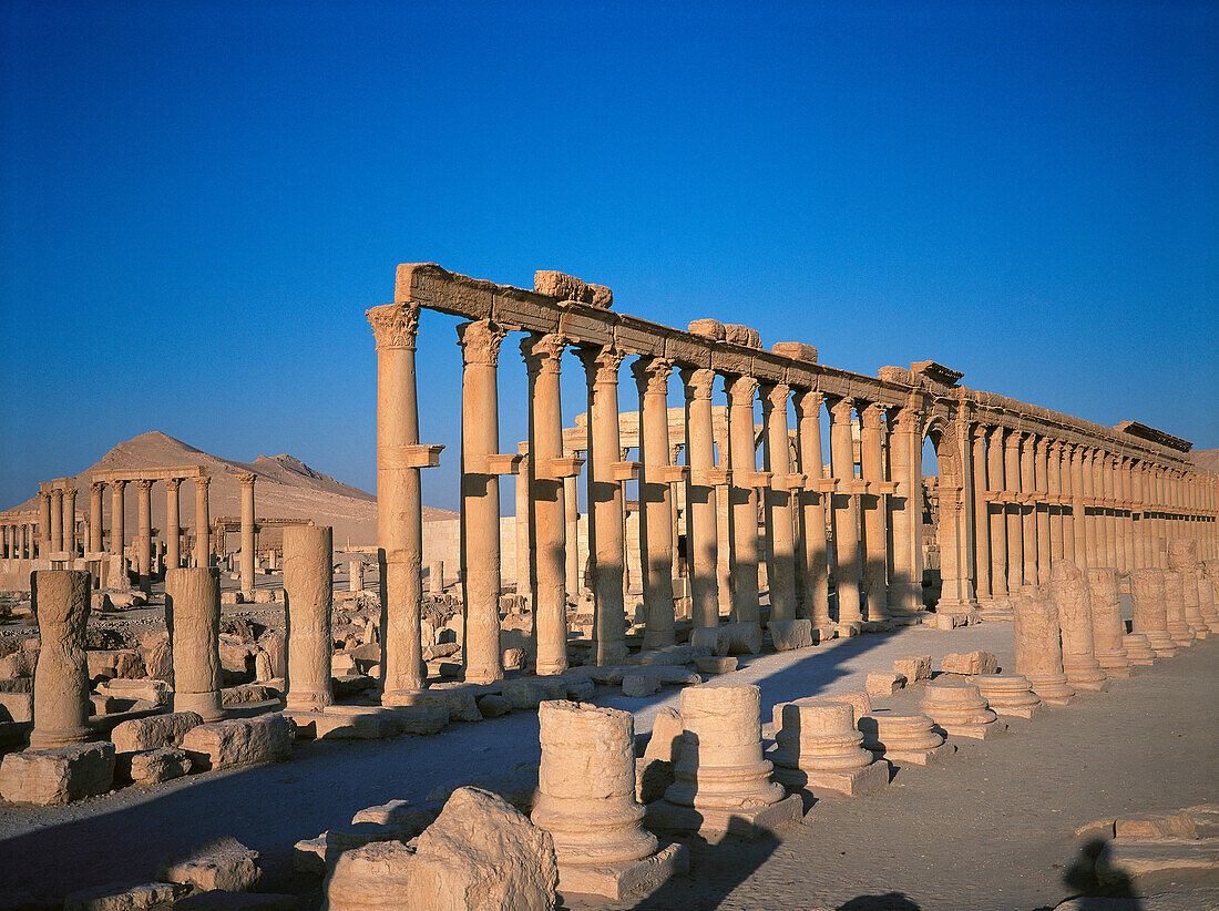 Ruins of the ancient city at sunrise. Palmyra. Syria