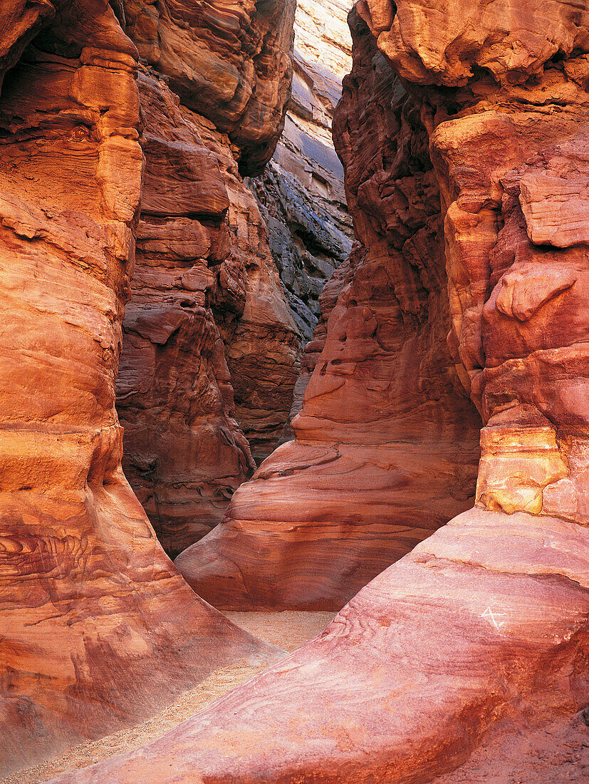 Red rock canyon. Sinai. Egypt