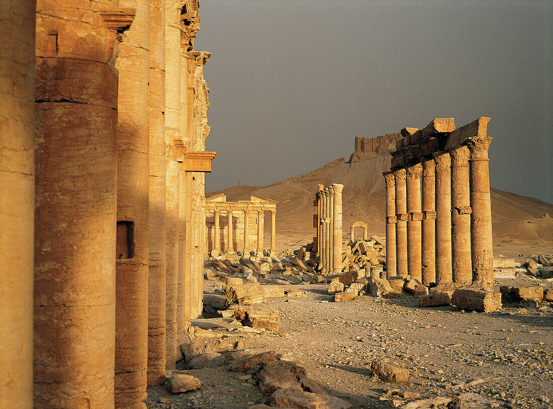 Palmyra ruins. Syria