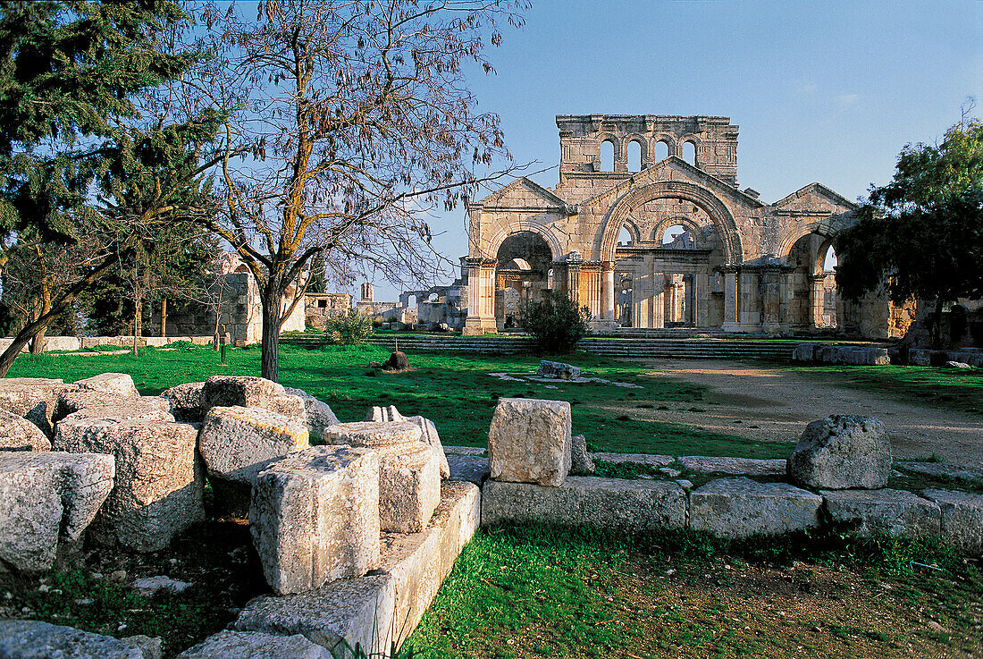 Ruins of the Basilica of Saint Simeon. Syria