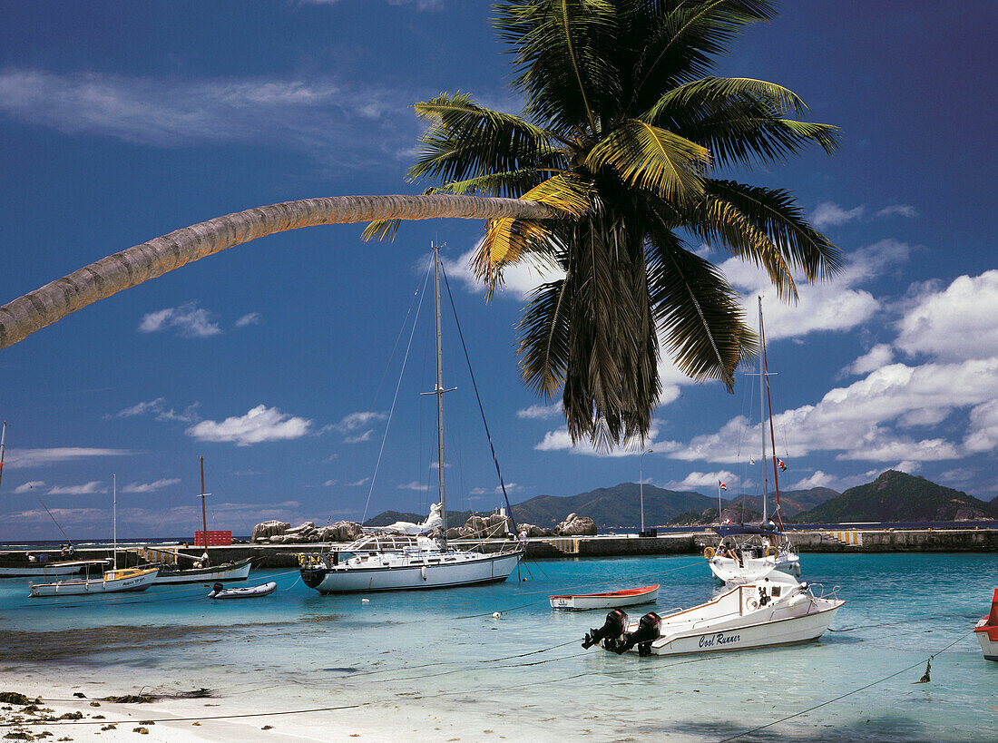 La Digue. Seychelles