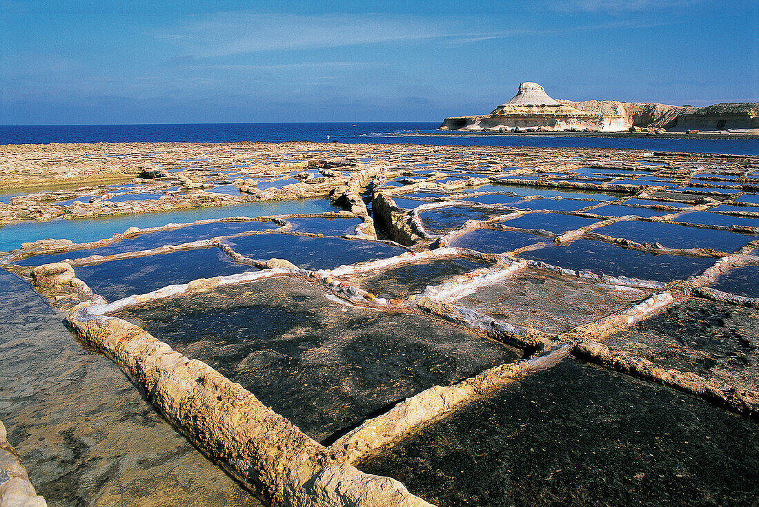 Salted marshes. Gozo Island. Malta
