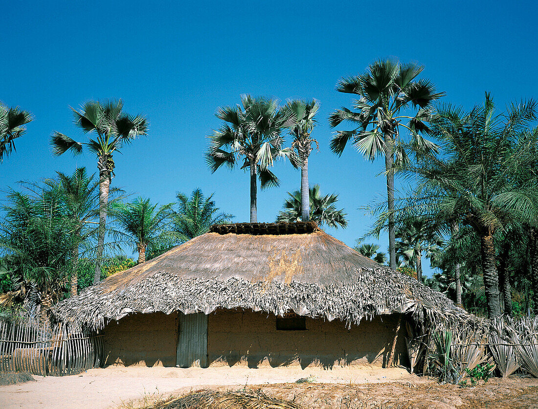 Typical Diola hut. Casamance. Senegal