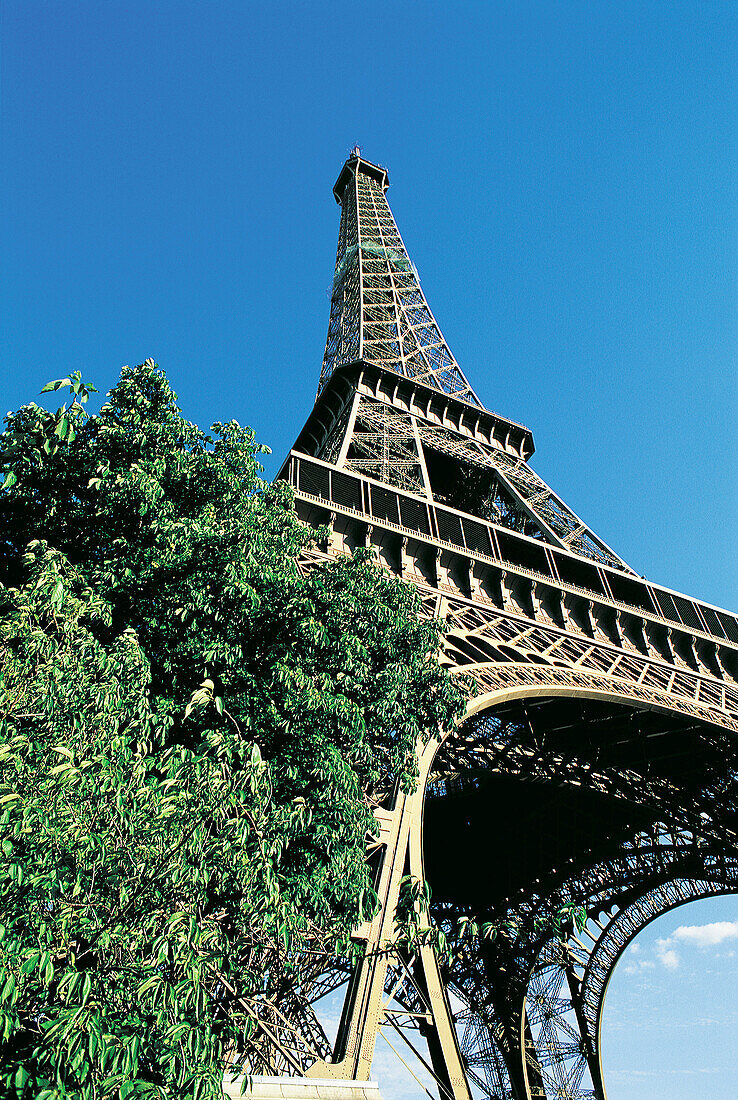 Eiffel Tower. Paris. France