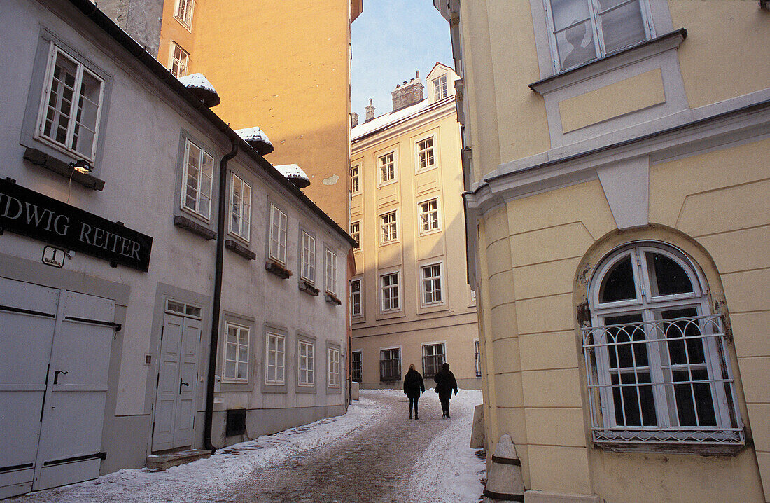 Vienna in winter