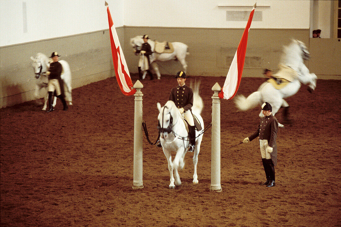 Spanish riding school show. Vienna. Austria