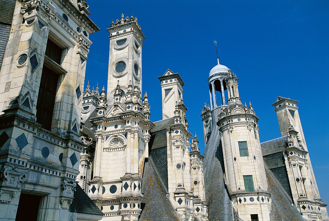 Chambord Castle. Loire Valley. France