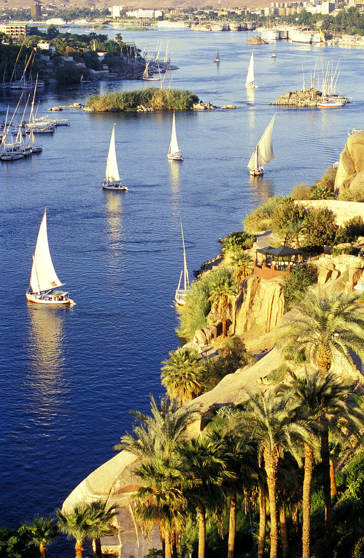 Feluccas on River Nile. Aswan. Egypt