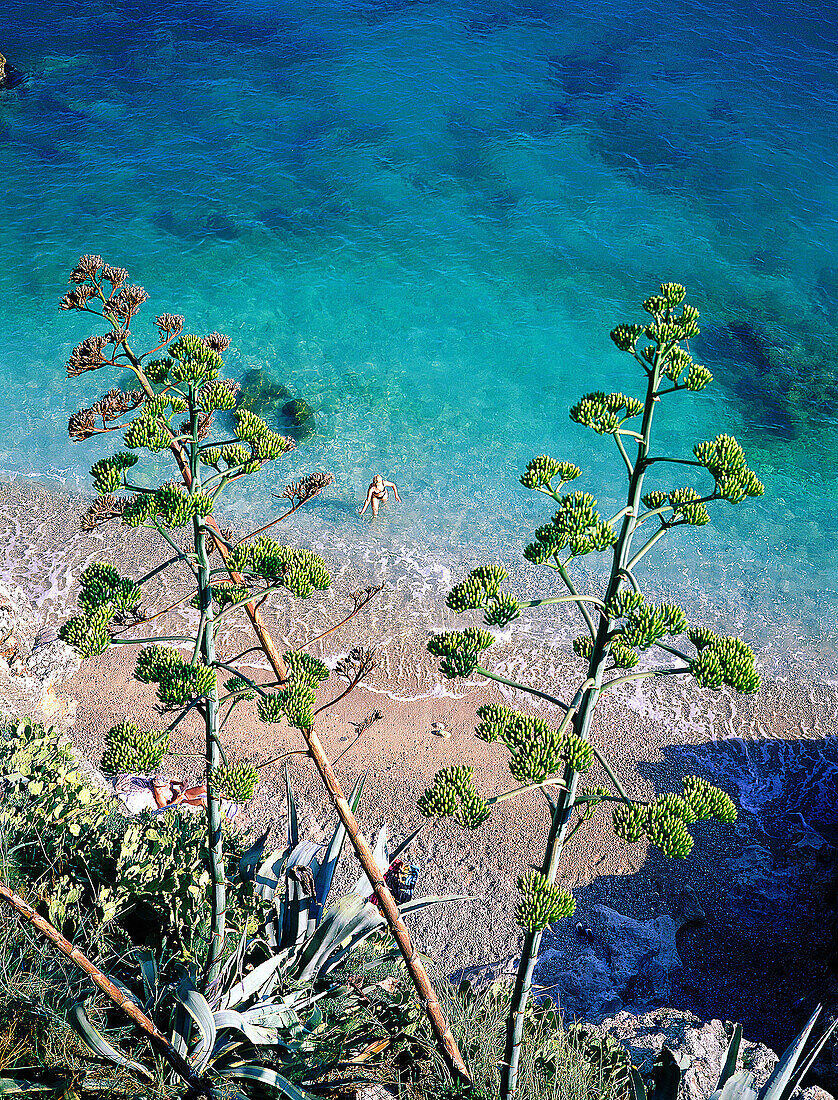 View of beach. Dubrovnik. Croatia