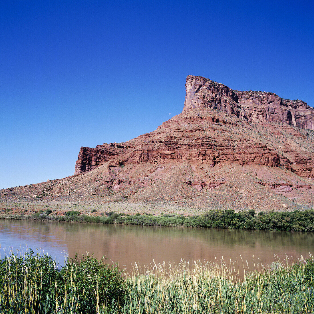 Colorado river near Moab. Utah. USA.