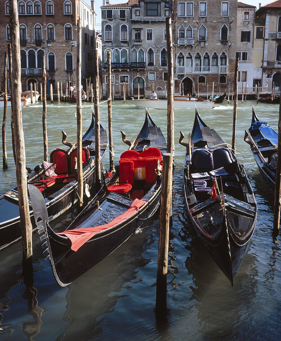 Gondolas on Grand Canal, Venice. Veneto, Italy