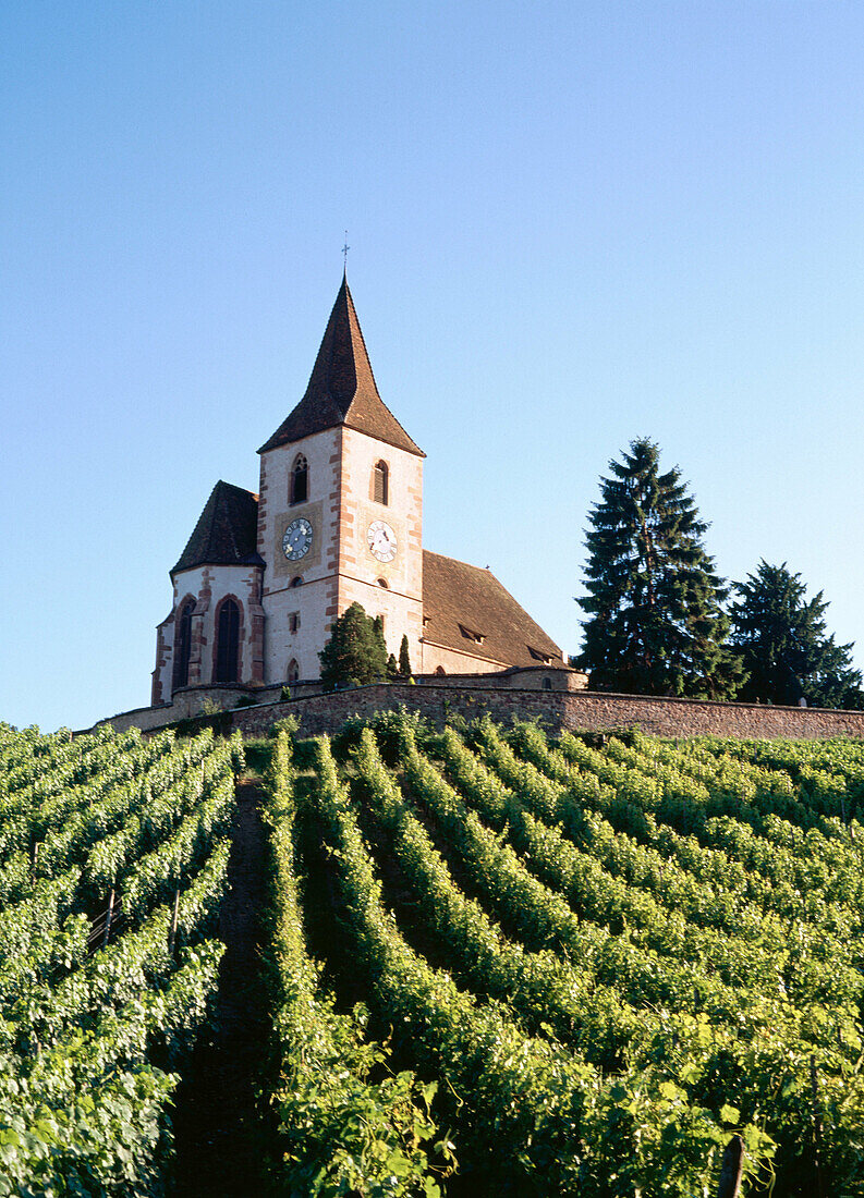 Hunawihr. Alsatian Wine Road. France