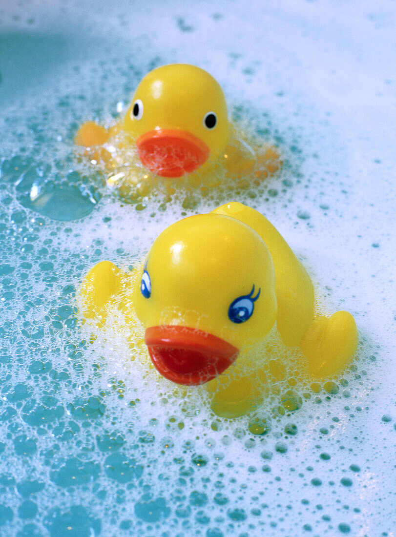  Bathtub, Bathtubs, Childhood, Color, Colour, Contemporary, Duck, Ducks, Float, Floating, Foam, Foamy, Froth, Hygiene, Infantile, Innocence, Innocent, Lather, Object, Objects, Pair, Rubber duck, Soap, Suds, Thing, Things, Two, Two items, Vertical, Water, 
