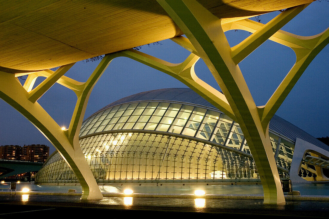 Hemisferic (planetarium and cinema). City of Arts and Sciences, by S. Calatrava. Valencia. Spain