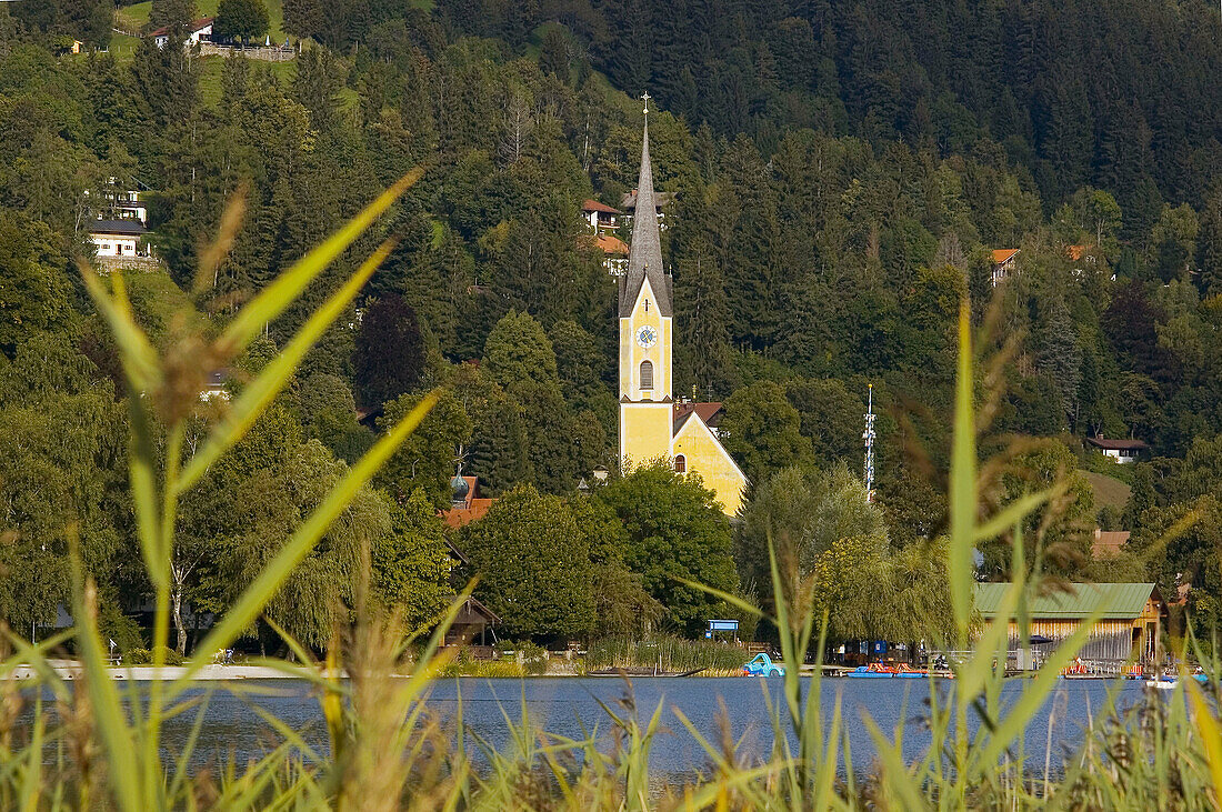 Germany. Bavaria. Bavarian Alps, Schliersee church through reeds