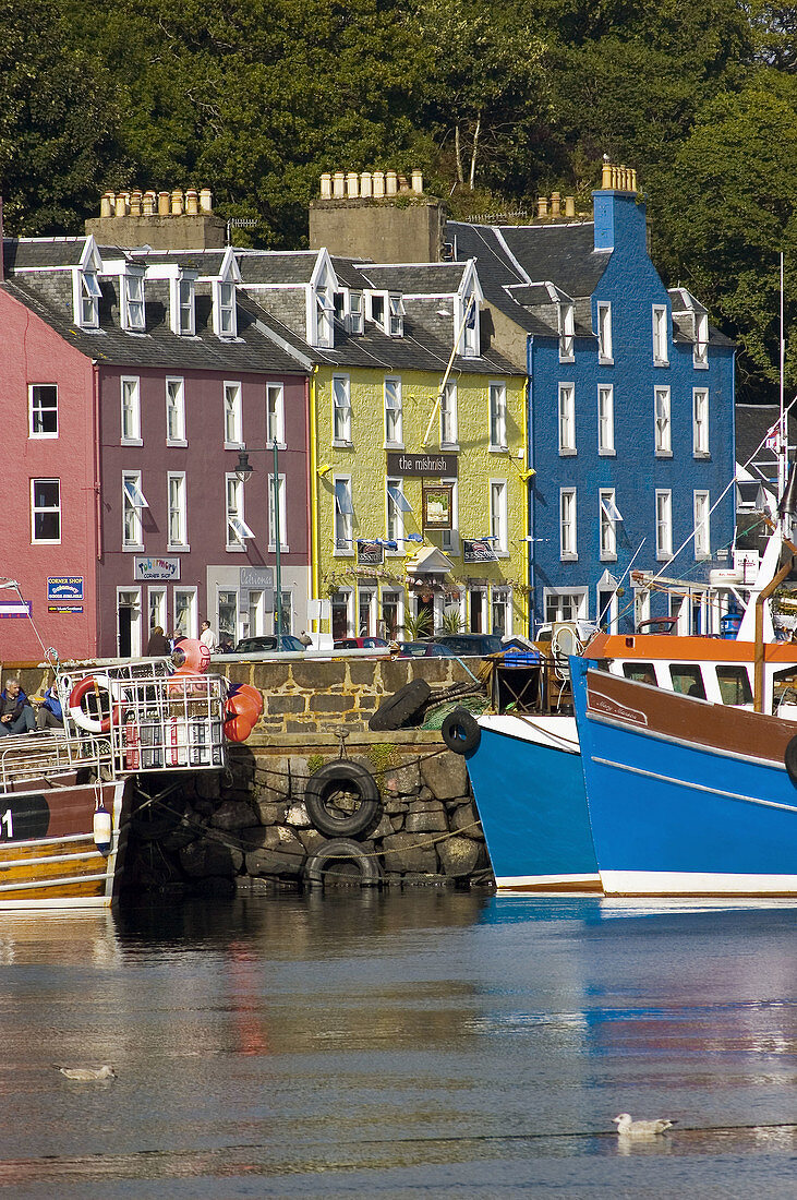 UK, Great Britain, Scotland, Strathclyde, Isle of Mull, Tobermory