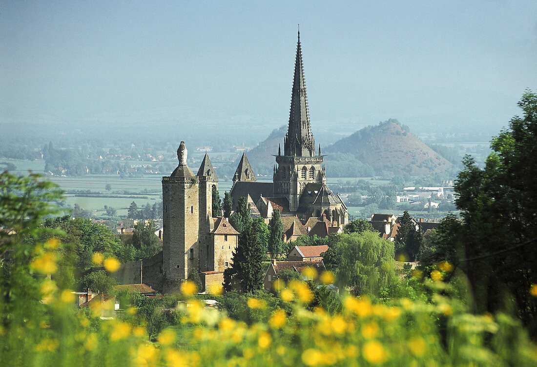 France, Saone et Loire, Autun view with cathedral