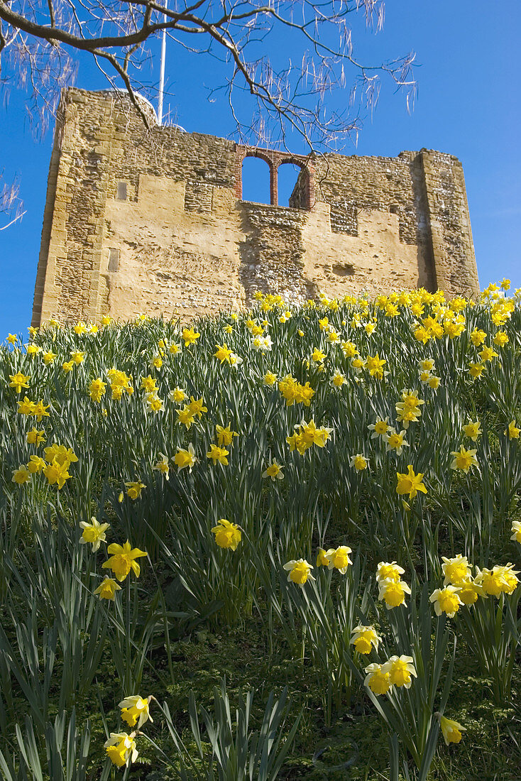 UK, England, Surrey, Guildford, castle