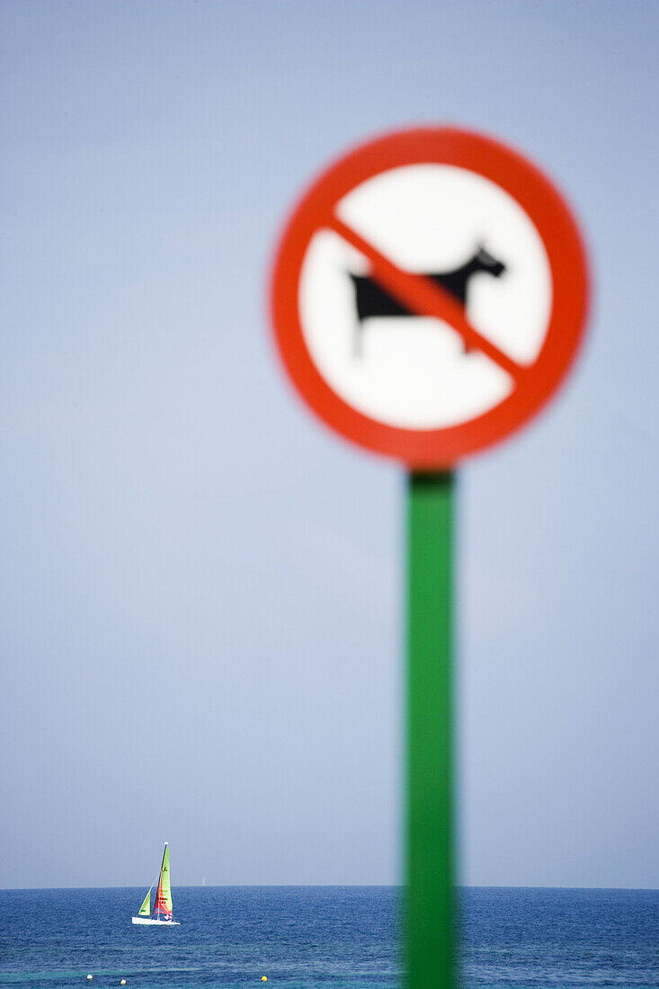 No dogs sign on beach. Calpe, Alicante province. Comunidad Valenciana, Spain