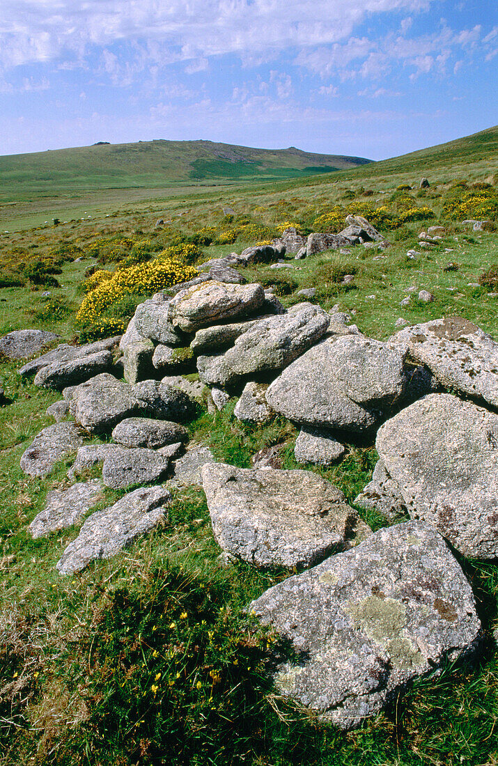 Stone remains of a group of iron age huts. Dartmoor. Devonshire. UK