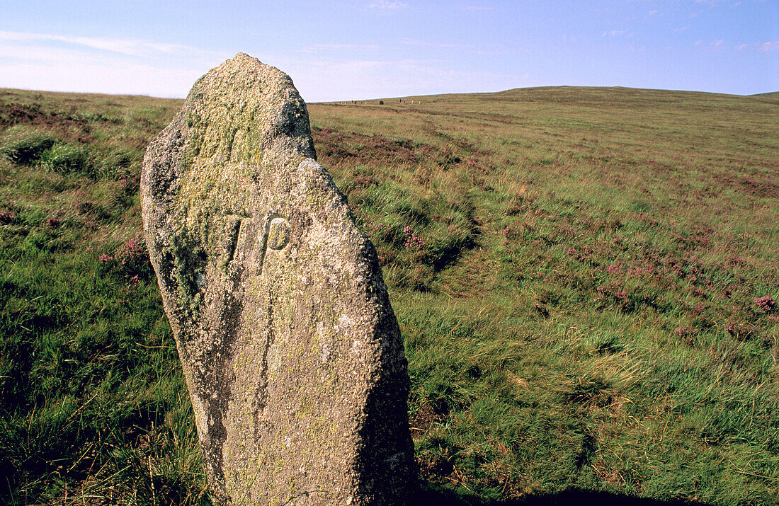 Enigmatic standing stone in the plains of Dartmoor. Devonshire. UK