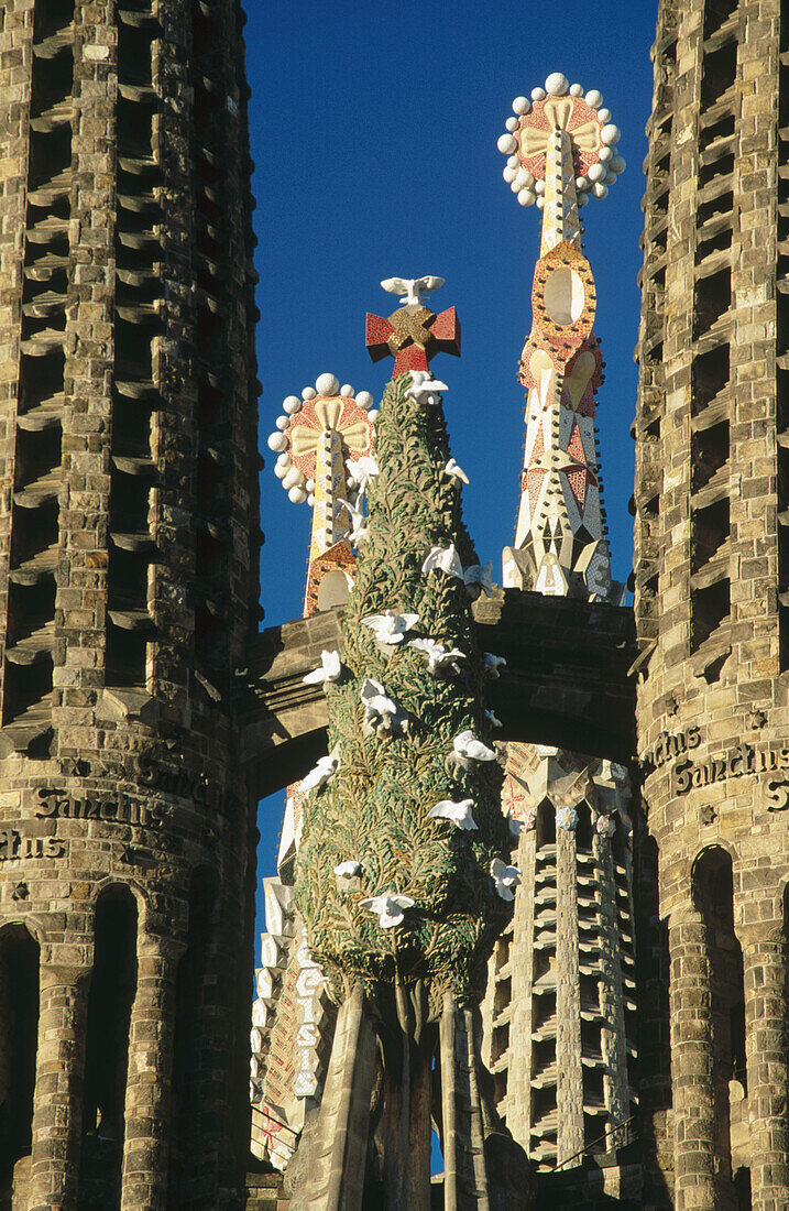 Detail of the Fachada del Nacimiento . Sagrada Familia Church. Barcelona. Spain