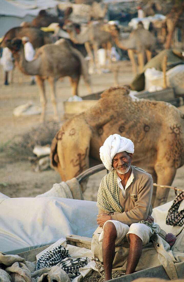 Camel fair in Pushkar. Rajasthan. India