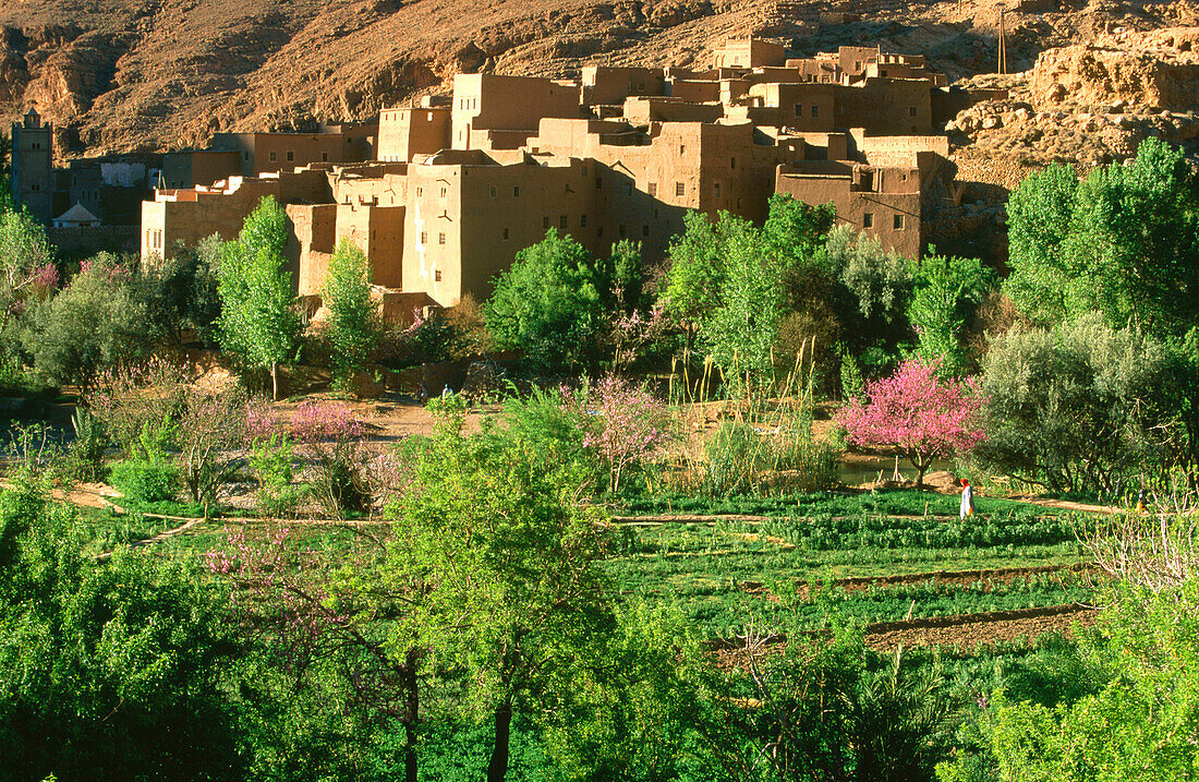 Kasbah at the entrance to the Todra Gorge. Morocco