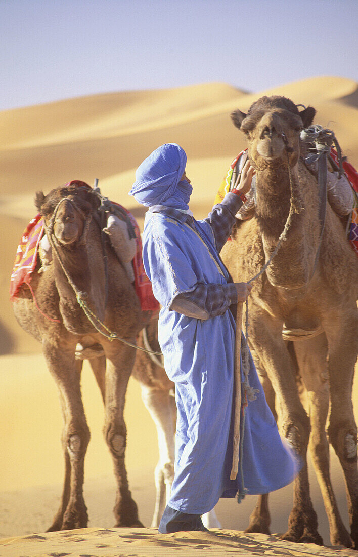 Tuareg with camels. Merzouga Dunes. Morocco