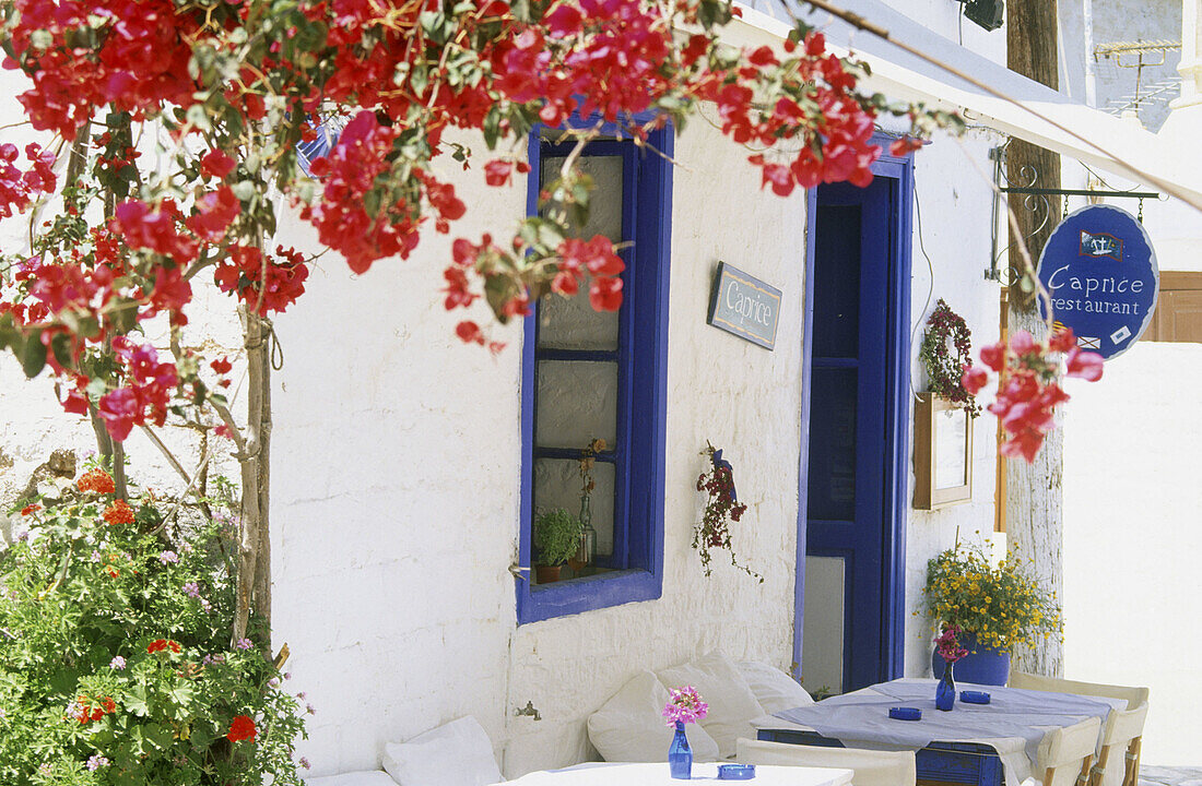 Restaurant in Hydra Island. Greece