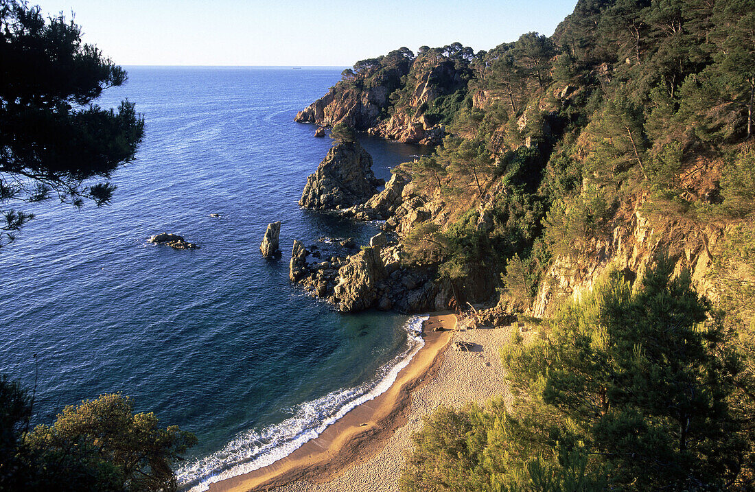 Cove in Calella de Palafrugell. Costa Brava. Catalonia, Spain