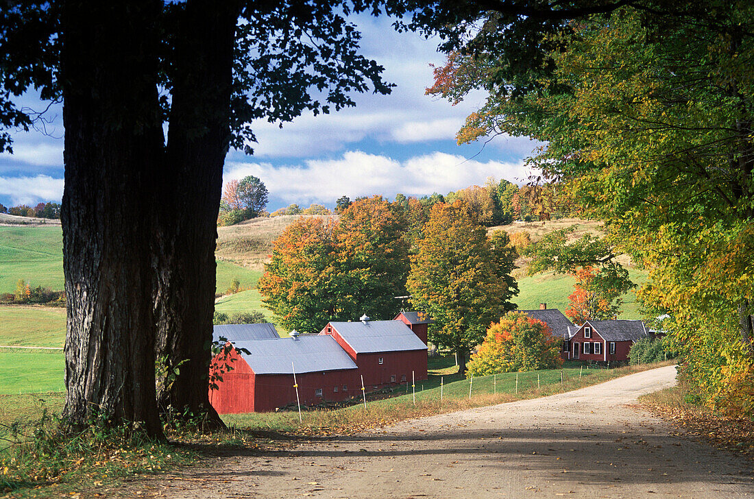 Jenny Farm. Vermont, USA