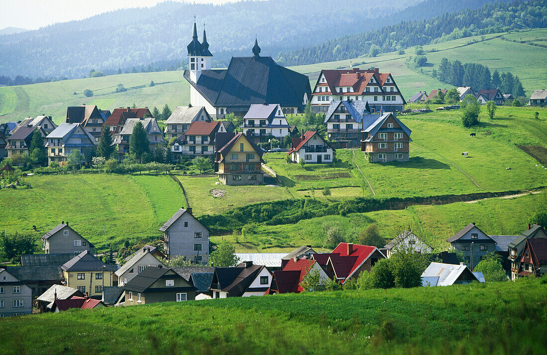 Pieniny, Kluszkowce. Tatra mountains, Poland