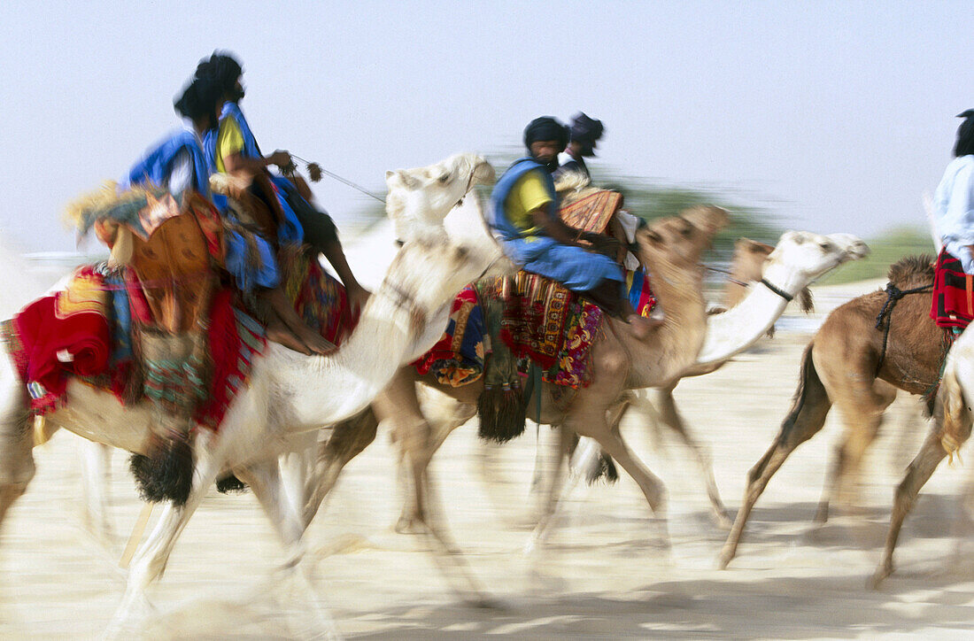 Tuaregs in the Sahara. Mali