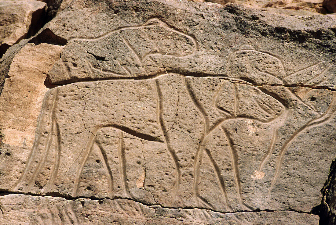 Libya: prehistoric rock reliefs and paintings at the Wadi Mathandous, Mathendous. On the borders of Tassili N Ajjer in Algeria, also a World Heritage site, this rocky massif has thousands of cave paintings in very different styles, dating from 12,000...