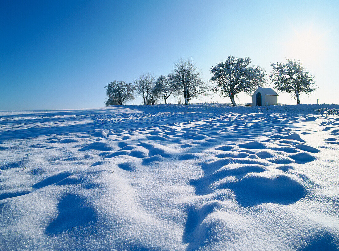 Schneebedeckte Landschaft, Merzkirchen, Saargau, Rheinland-Pfalz, Deutschland