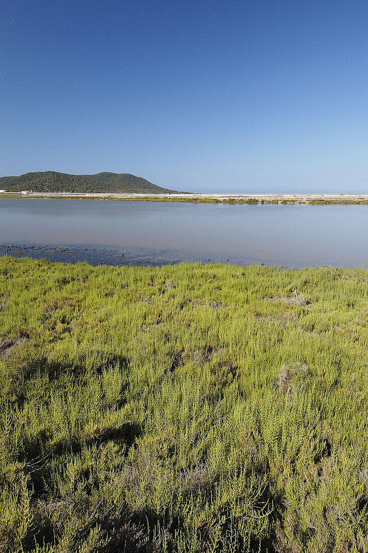 Salt pans. Ibiza, Balearic Islands. Spain