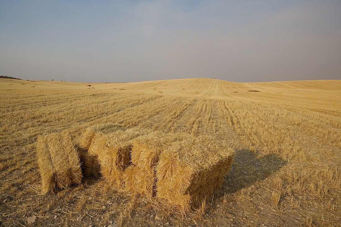 Mowed wheat field with straw bales at fore. Toledo province, Castilla-La Mancha, Spain