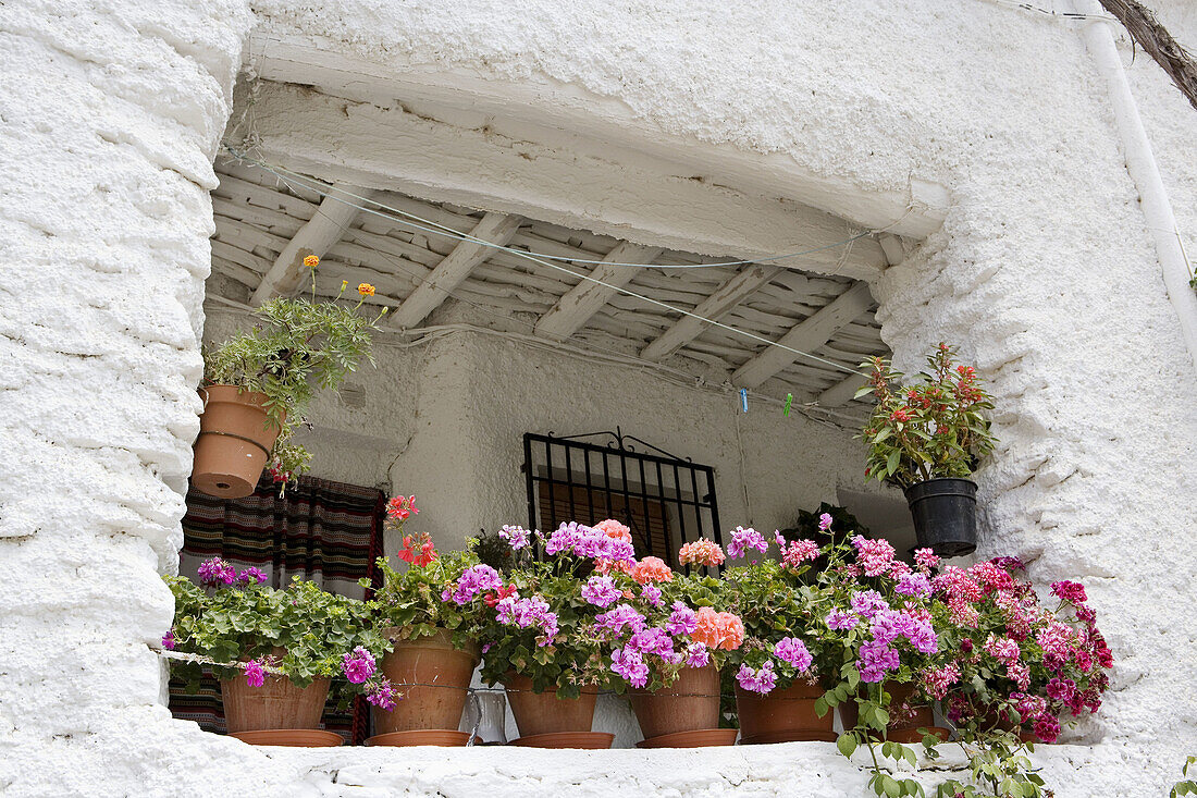 Façade with flowers, Pampaneira. La Alpujarra, Granada. Andalusia, Spain