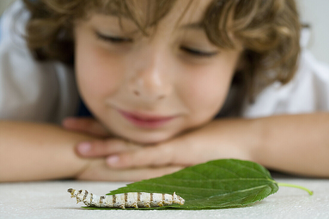 Boy with silkworm