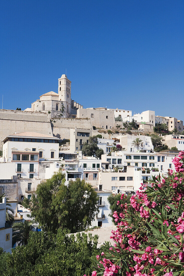 Old town (Dalt Vila) with cathedral in background. Ibiza, Balearic Islands. Spain