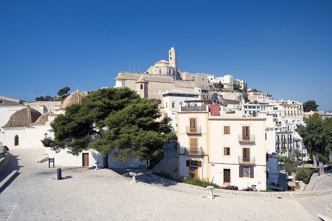 Old town (Dalt Vila) and Santo Domingo Church with cathedral in background. Ibiza, Balearic Islands. Spain