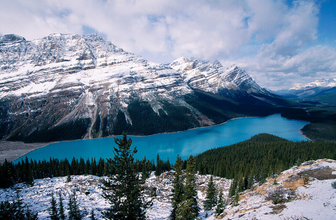 Peyto Lake in the Banff National Park. Rocky Mountains. Alberta. Canada