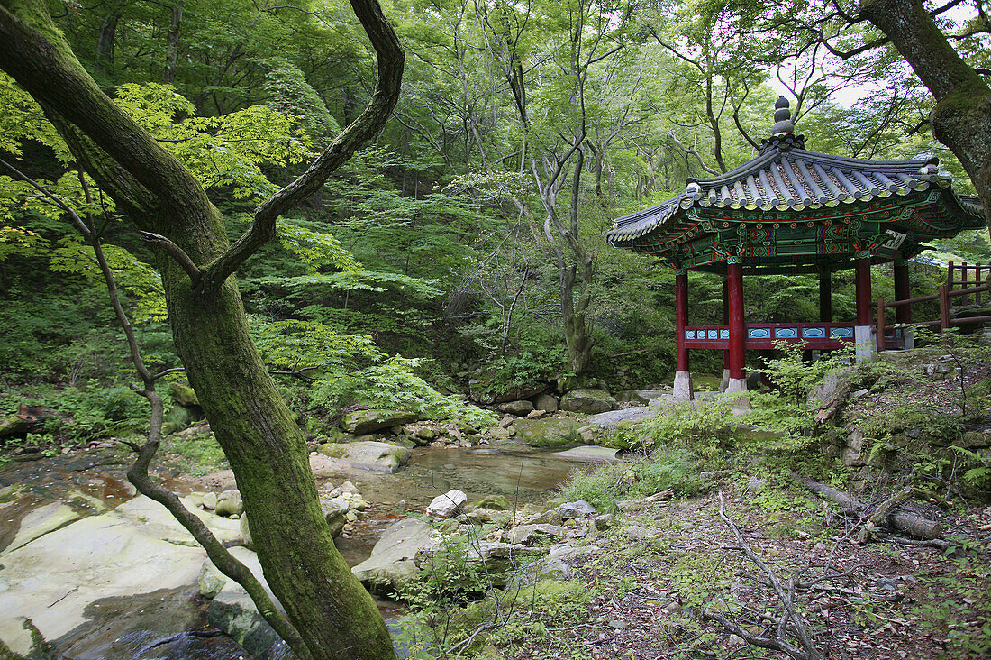 Gyeryongsan National Park, creekside pavilion at Donghaksa Temple. Chungcheongnam-Do. Republic of Korea.