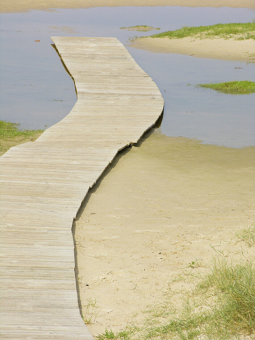  Boardwalk, Boardwalks, Color, Colour, Concept, Concepts, Daytime, Detail, Details, Ecology, Environment, Exterior, Nature, Nobody, Outdoor, Outdoors, Outside, Protect, Protection, River bank, River banks, Riverside, Riversides, Vertical, Water, Wetland, 