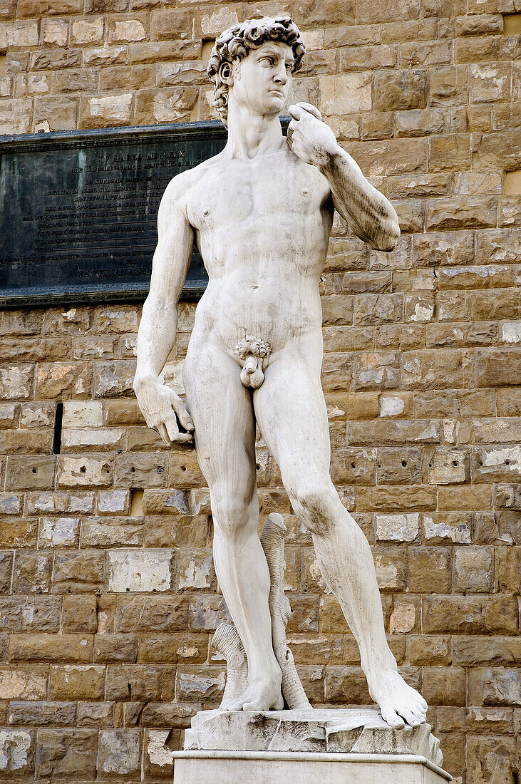 Italy, Florence, statue of David