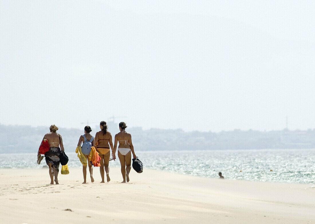  Back view, Beach, Beaches, Coast, Coastal, Color, Colour, Contemporary, Daytime, Exterior, Female, Full-body, Full-length, Group, Groups, Holiday, Holidays, Human, Leisure, Outdoor, Outdoors, Outside, People, Person, Persons, Rear view, Sand, Sea, Shore,